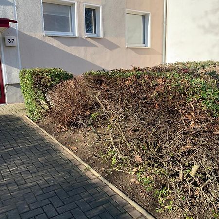 Mycha Ferienwohnung Goslar Buitenkant foto