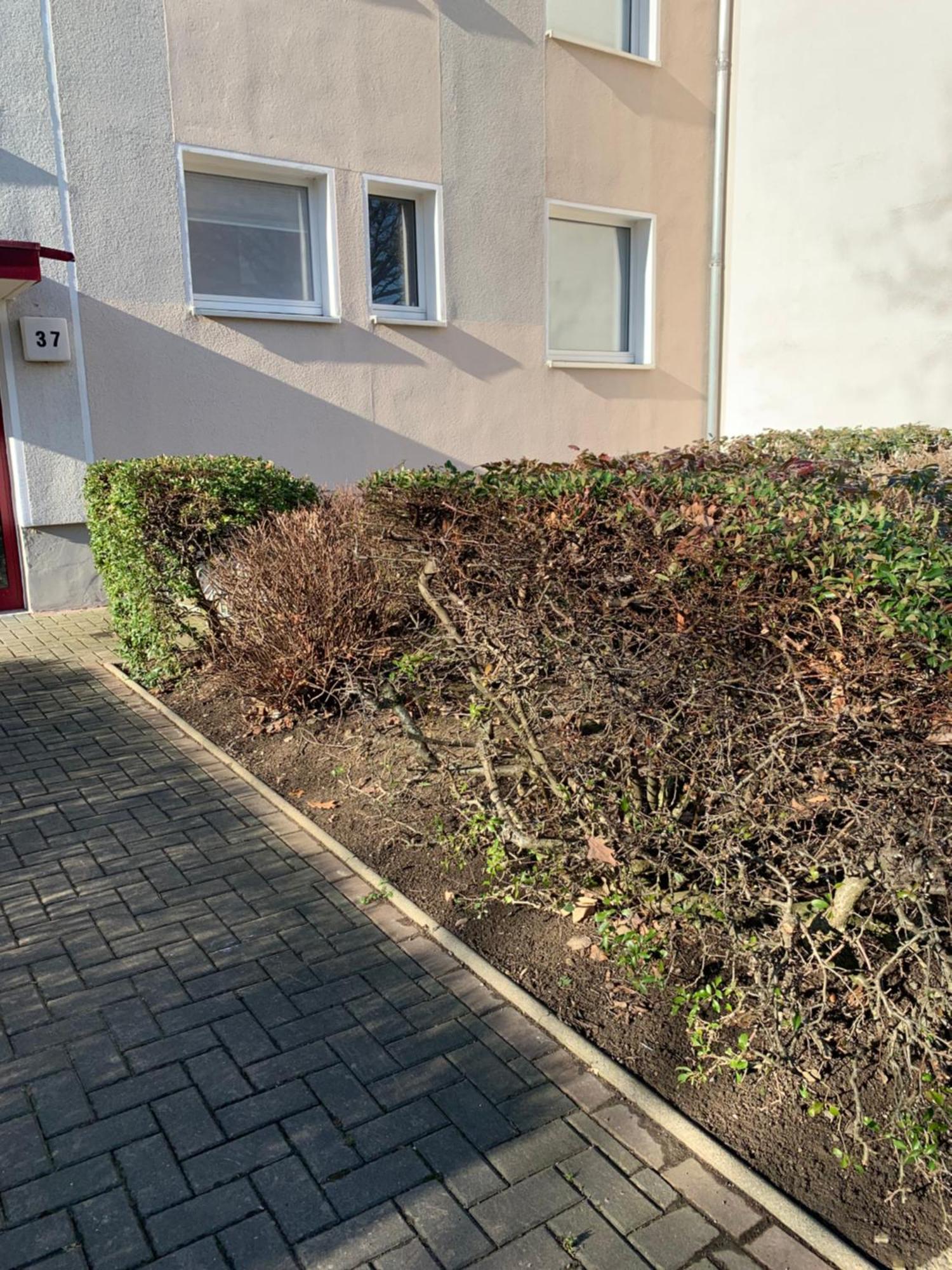 Mycha Ferienwohnung Goslar Buitenkant foto